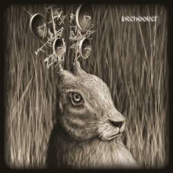 Beehoover : Heavy Zooo